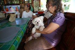 Members in Cavite come to visit. The lady with the dog is a retiree / returnee from Switzerland. She calls her pet “Partner.”