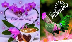 Some of the ‘good morning’ messages I receive daily