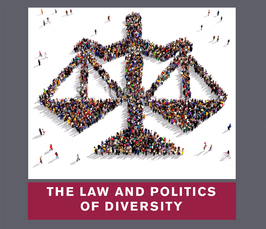 "The Law and Politics of Diversity" 