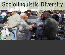 "Language and Super-diversity: Explorations and interrogations"